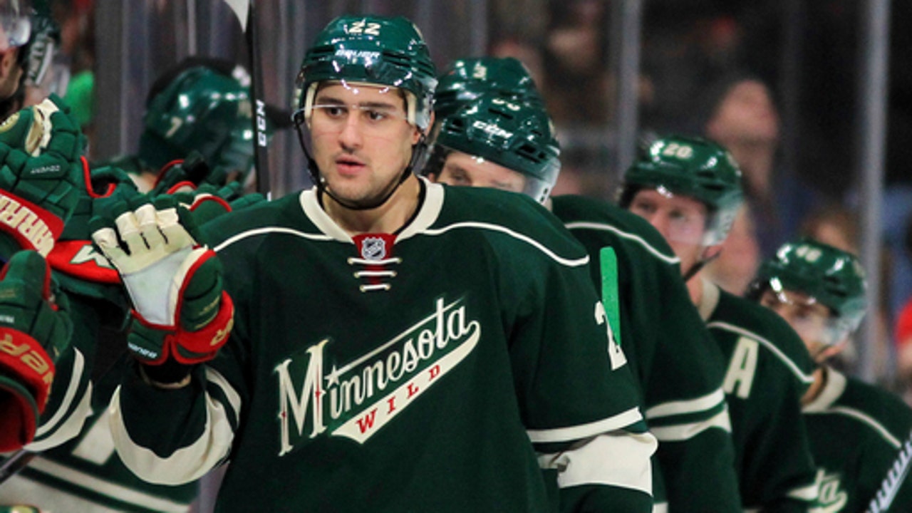 Dubnyk, Wild extend win streak with 3-1 victory over Blues (Dec 11, 2016)